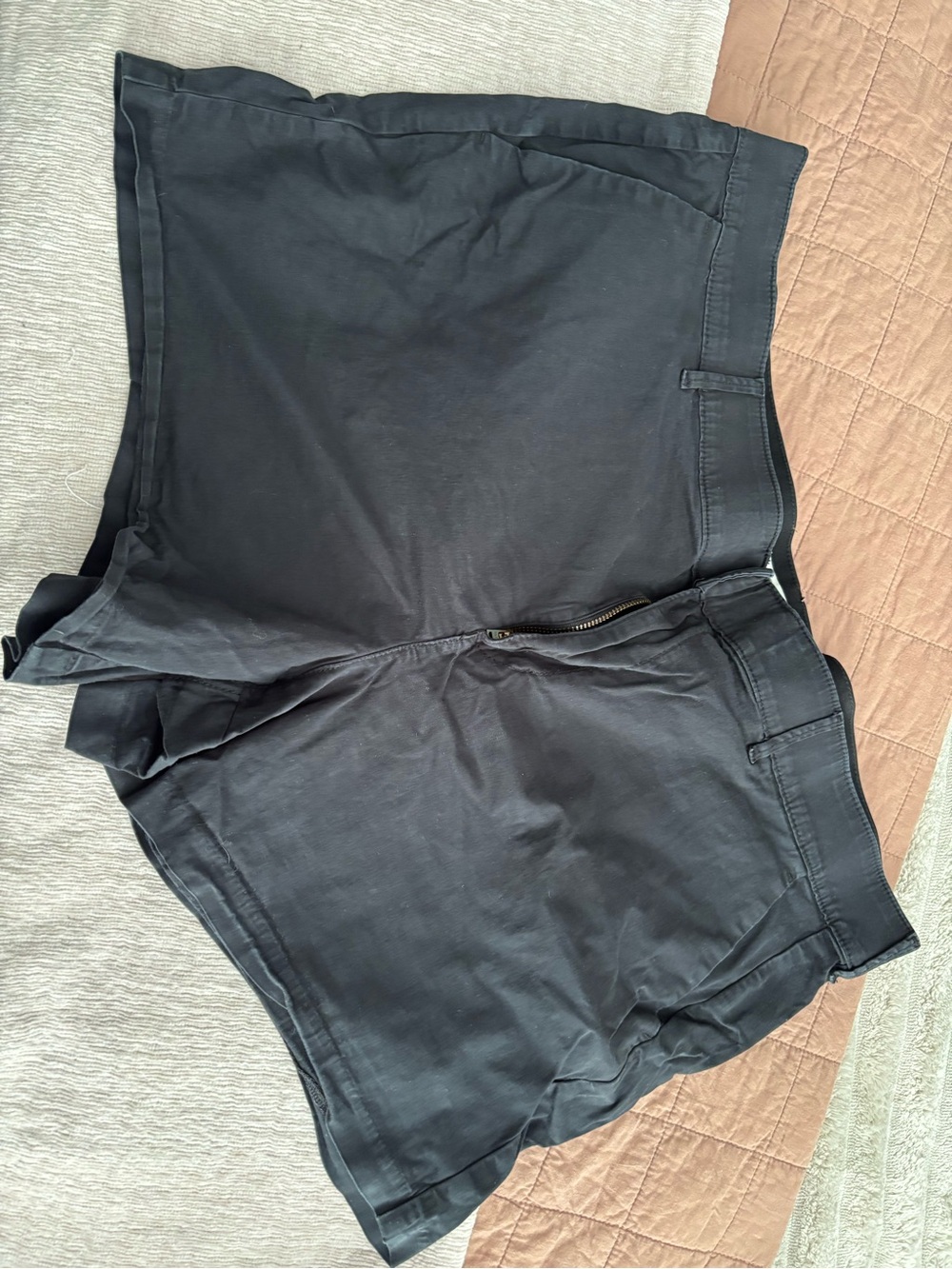 torrid Belle Island Black High-Rise Shorts